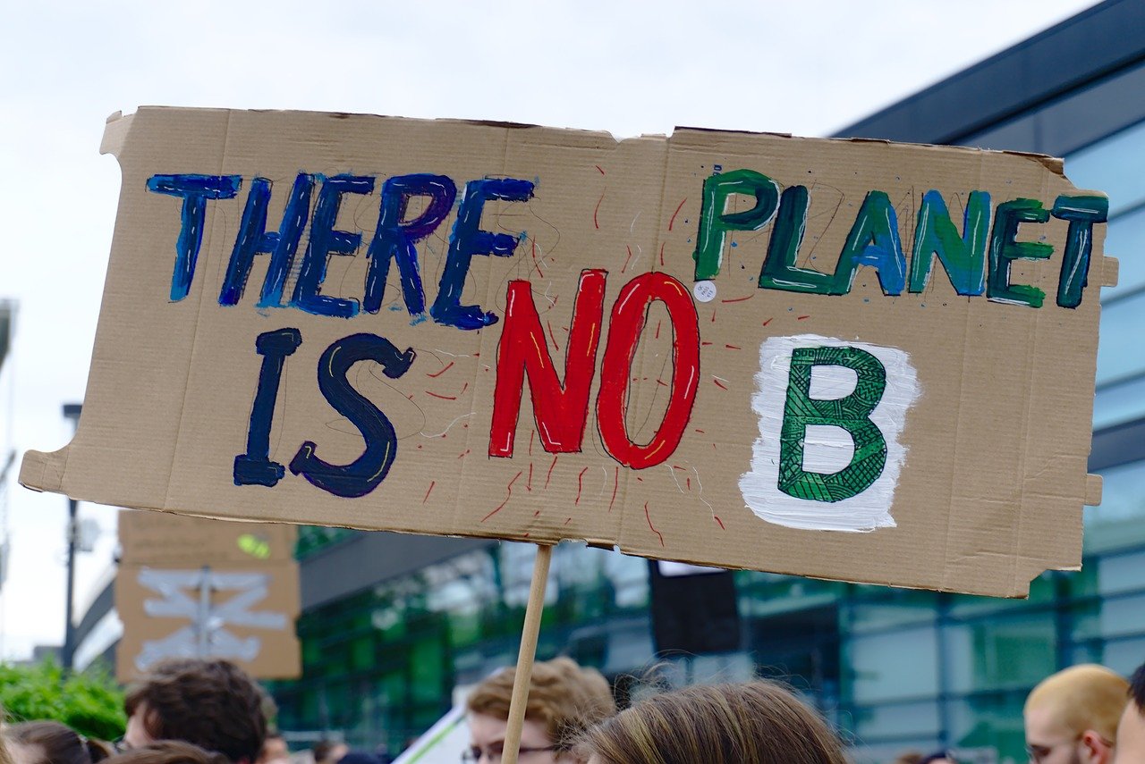 image shows sign reading there is no planet b