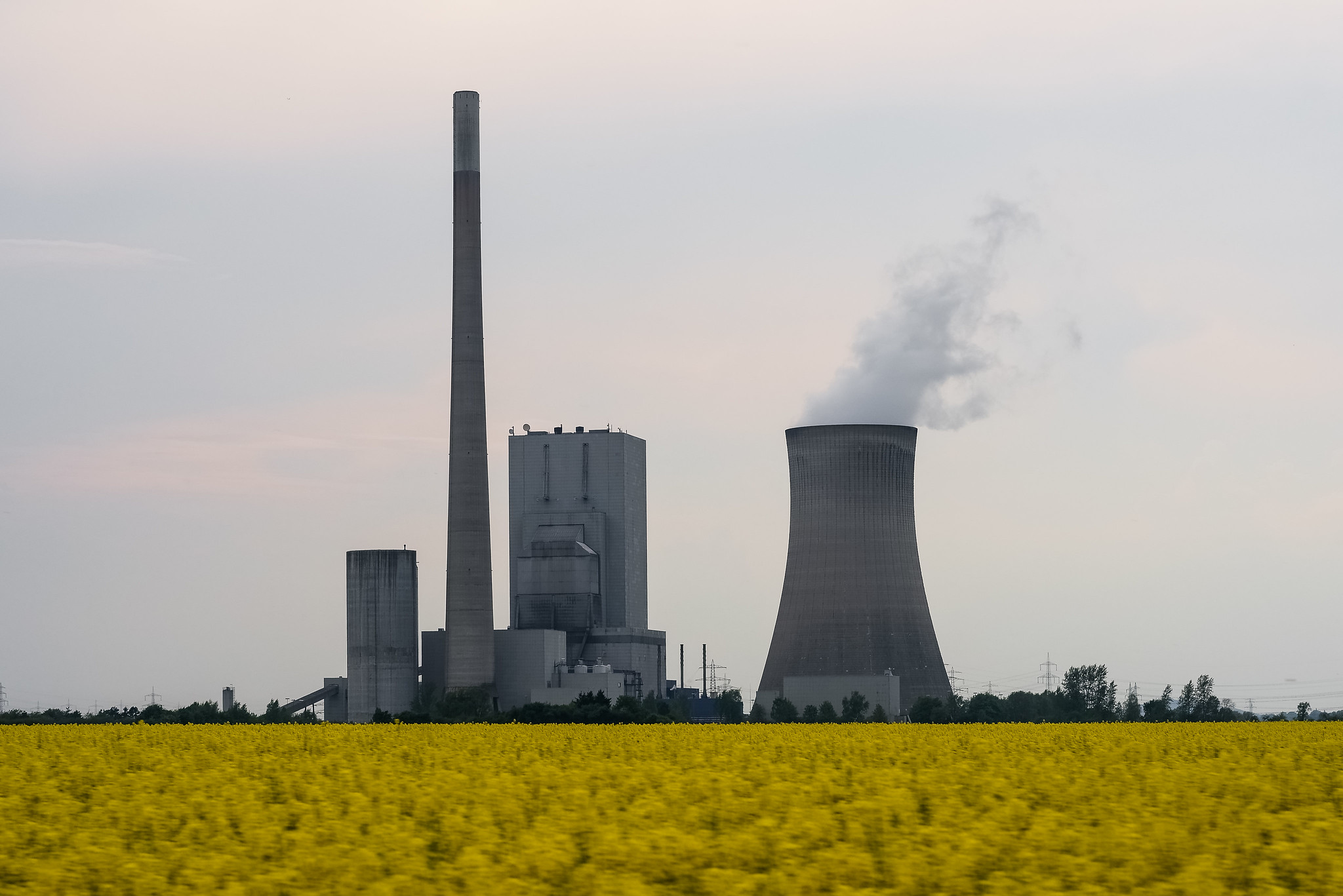 A coal fired power plant over seed oil plants.
