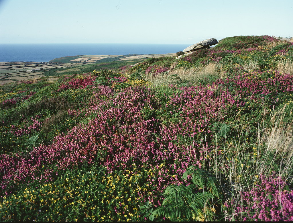 West Penwith, where Enys Men was filmed