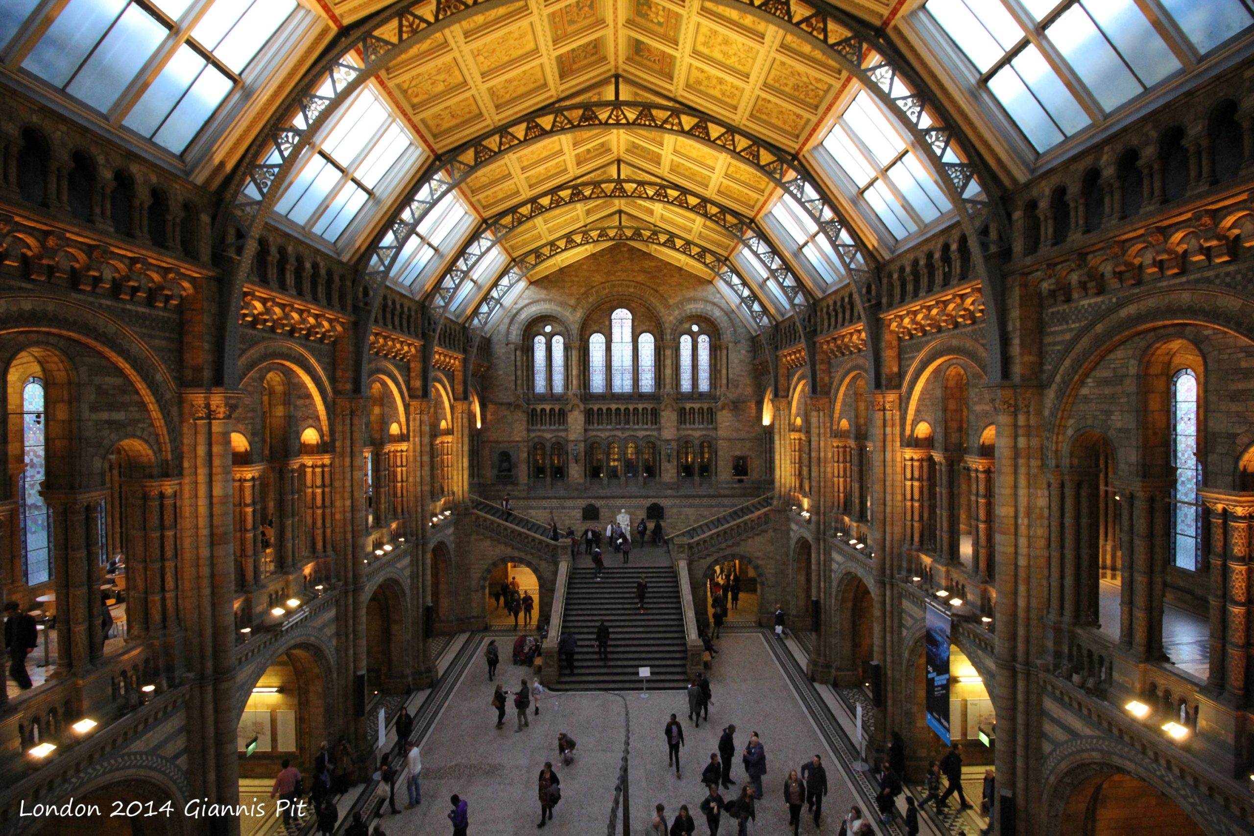 picture of the inside of the Natural History Museum of London